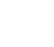 لوگوی شیشکس